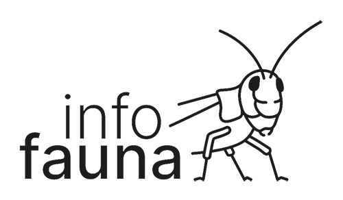 Infofauna